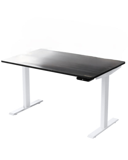 Bureau debout réglable en acier inoxydable noir et blanc de 30 po